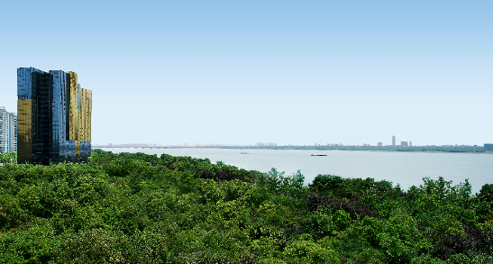 image005.png